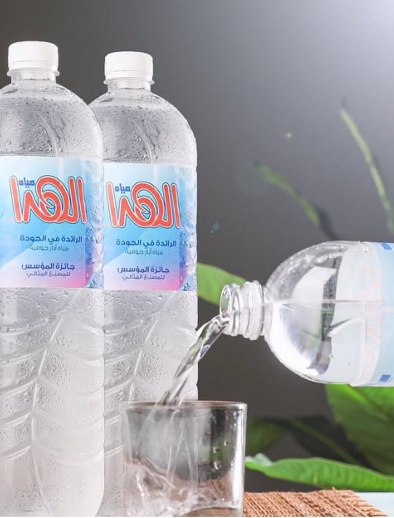 الهدا ٦٠٠ مل (24 عبوة )