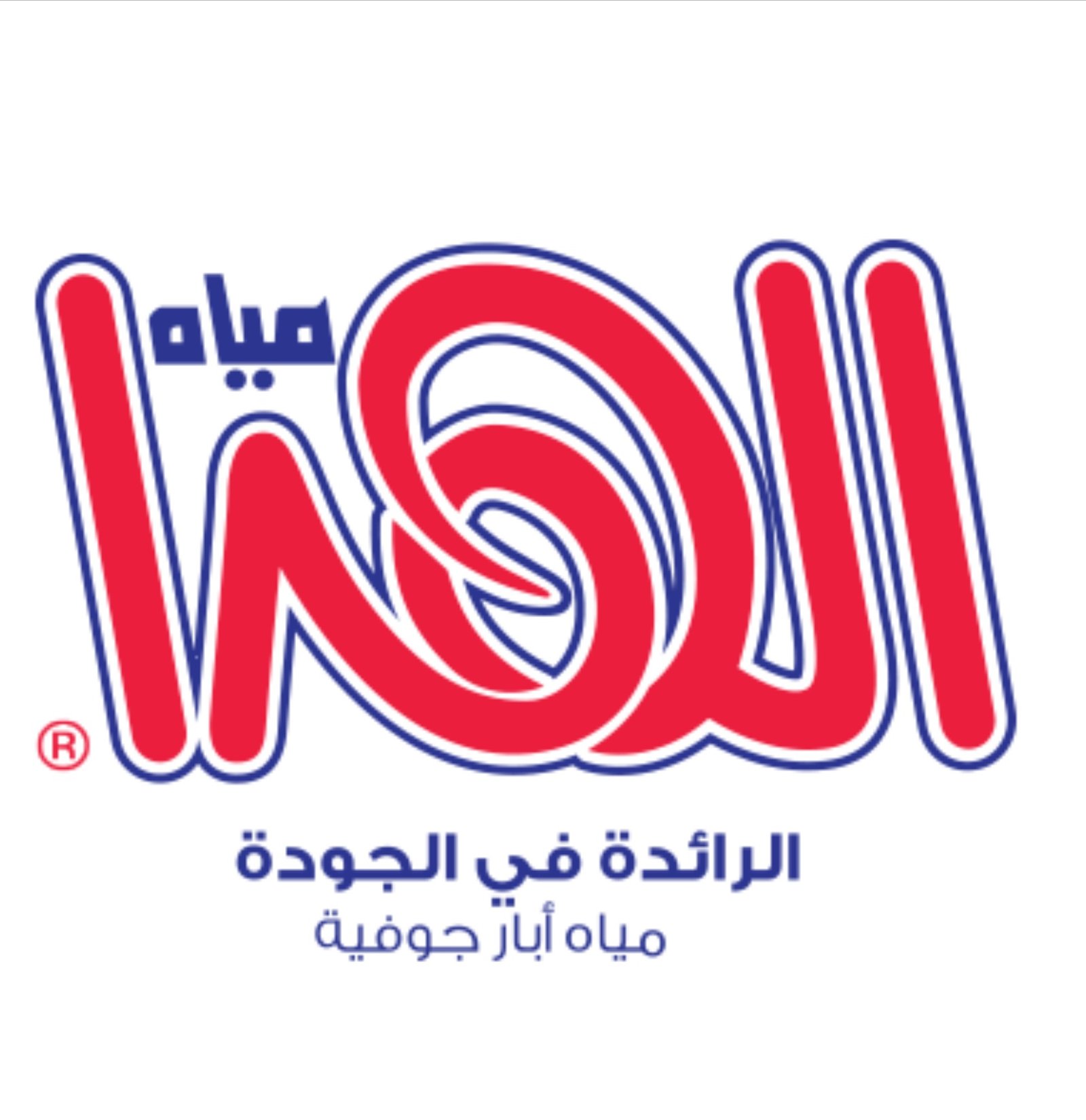 الهدا ٦٠٠ مل (24 عبوة ) - الصورة 3