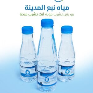 نبع المدينة 200 مل ( 48 عبوة )