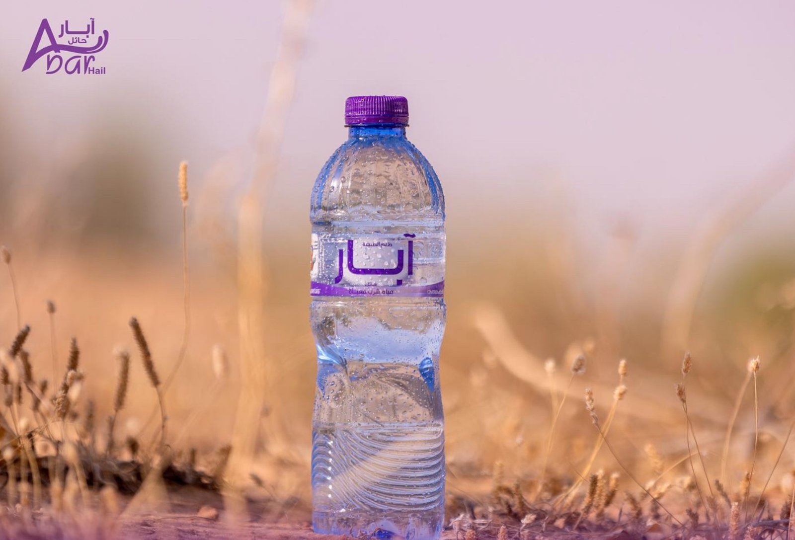 آبار 330 مل (40 عبوة) - الصورة 3